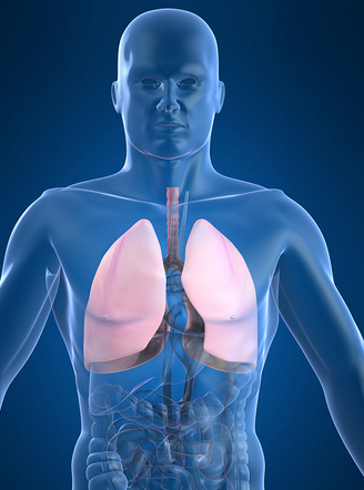 肺纤维化治疗——青年肺纤维化早期症状有哪些呢