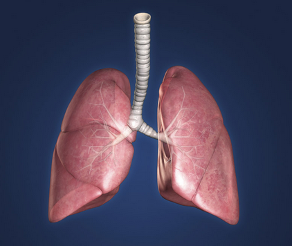 肺纤维化治疗——肺纤维化诱发因素大致有哪几种