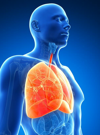 肺纤维化治疗——导致肺纤维化的原因都有哪些