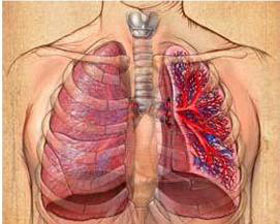 肺纤维化治疗——了解引发肺纤维化疾病的原因