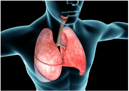肺纤维化治疗——肺纤维化的原因有什么呢