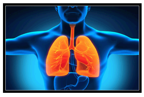 肺纤维化治疗——解析肺纤维化为什么会营养不良