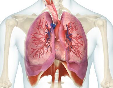 肺纤维化治疗——肺纤维化患者的自我护理方法 肺纤维化治疗——肺纤维化患者的自我护理方法