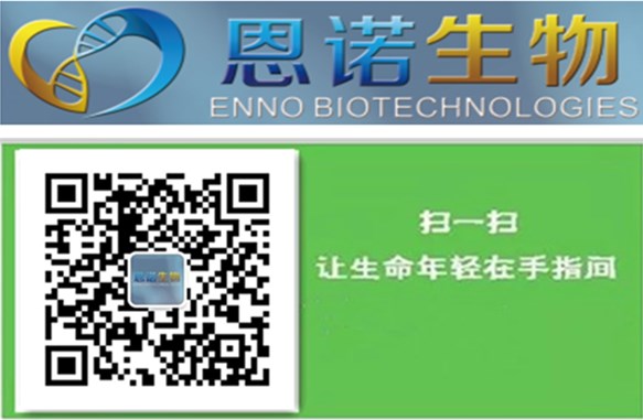北京恩诺生物科技有限公司 北京恩诺生物科技有限公司