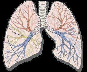 肺纤维化治疗——肺纤维化临床表现有哪些
