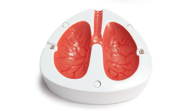 肺纤维化治疗——肺纤维化如何预防
