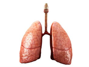 肺纤维化治疗——肺纤维化患者能运动吗