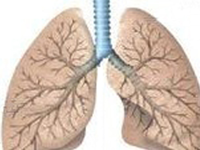 肺纤维化治疗——肺纤维化应该如何护理