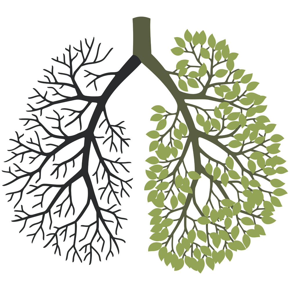 肺纤维化治疗——肺纤维化的症状表现有哪些呢