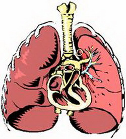 肺纤维化治疗——肺纤维化的临床表现有哪些