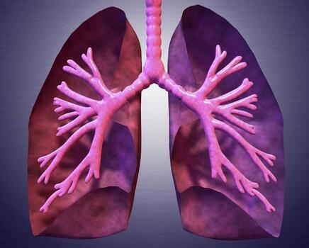肺纤维化治疗——肺纤维化的病理特点有哪些呢
